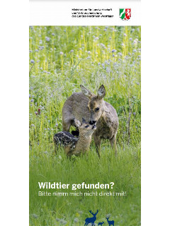 Vorschaubild Wildtiere.JPG