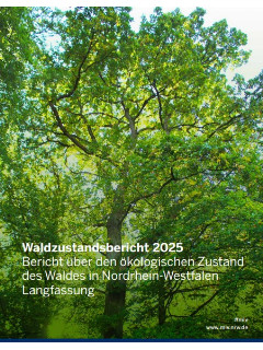 Vorschaubild Waldzustandsbericht 2025 lang.jpg