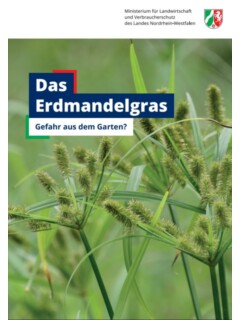 Vorschaubild Vorschaubild Erdmandelgras.JPG