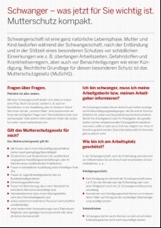 Vorschaubild Vorschaubild 2: Schwanger- was jetzt für Sie wichtig ist. - deutsch -