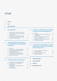 Vorschaubild Die Rolle des Berufskollegs Seite 3.png