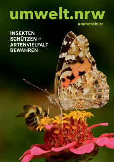cover-Insekten schützen_1.png
